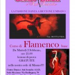 Flamenco ok jpg